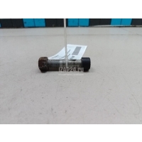 Болт карданный Mercedes Benz GLK-Class X204 (2008 - 2015) 0119901004