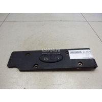Накладка декоративная Hyundai-Kia Cerato (2009 - 2013) 224052B010