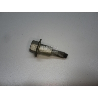 Болт клапанной крышки Hyundai-Kia Cerato (2009 - 2013) 224512G600
