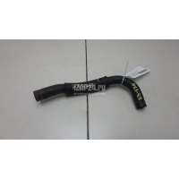 Патрубок Hyundai-Kia Sorento II (2009 - 2020) 256502F000