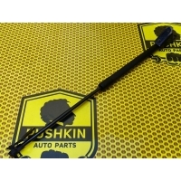 Амортизатор крышки багажника Nissan Qashqai J10 2008 90450JD01B