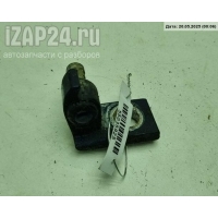 Петля двери задней левой Volkswagen Passat B5 1999