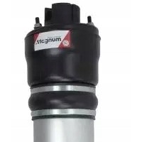 MAGNUM TECHNOLOGY AMORTYZATOR APM017MT