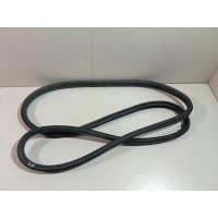 Уплотнитель двери Renault Megane III (2009 - 2016) 769230007R