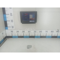 Накладка декоративная MAN TGX (2007 - 2014) 81626810013