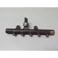 Рейка топливная (рампа) Renault Sandero (2009 - 2014) 8200669695