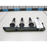 Рампа (кассета) катушек зажигания Delphi Astra J (2010 - 2017) CE0184112B1A