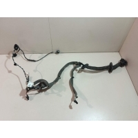 Проводка (коса) Renault Megane III (2009 - 2016) 241250495R