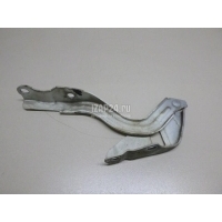 Петля капота правая Hyundai-Kia Solaris (2010 - 2017) 791201R000