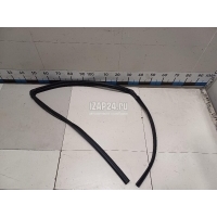 Уплотнитель стекла двери Toyota Sequoia (K6) 2008 681410C030