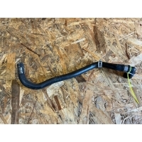 Патрубок (трубопровод, шланг) Volvo S60 2019 32222676