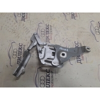 петля капота BMW X5 E70 2007-2013 2007 41007198617