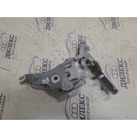 петля капота BMW X5 E70 2007-2013 2007 41007198618