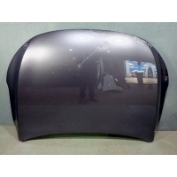 Капот SKYWELL ET5 1 R5030501BAAA100000