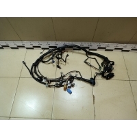 Проводка (коса) NISSAN Almera Classic (B10) 2006-2013 2407595F0A