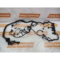 Проводка ДВС Audi A4 B8(2007-2012) 2007 8K2971072F,06H971824B