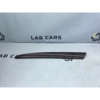 накладка двери BMW X5 E53 51428408575