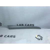 накладка двери BMW X5 E53 51418265480