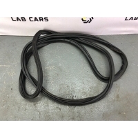 Уплотнитель дверного проема BMW X6 E71 2010 51727234932, 51727333606
