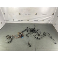 Проводка двигателя BMW 5 e60 2006 12517795363, 12517795366