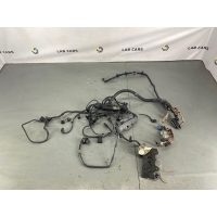 Проводка двигателя BMW X5 E70 12517810118, 12517799662, 12517801726