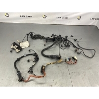 Проводка двигателя BMW 5 E60 12517803361