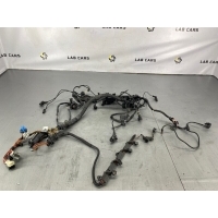 Проводка двигателя BMW X5 E70 12517803681, 7803680, 12517799662, 7799661, 12517802264