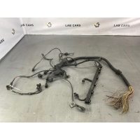 Проводка двигателя BMW X5 E53 12517503611, 12521439526