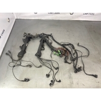 Проводка двигателя BMW 7 E66 2002 12517520803, 7514582