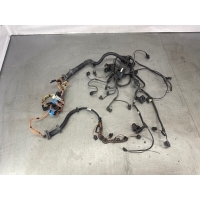 Проводка двигателя BMW 5 e61 2006 12517795363, 7795362, 12517795366