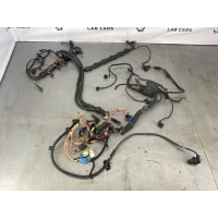 Проводка двигателя BMW 5 e61 2004 12517556868, 12517566964