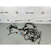 Проводка двигателя BMW X5 e70 рестайлинг 2010 12518511876, 12517809764, 12517809178