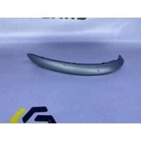 Накладка ручки двери BMW X5 e53 рестайлинг 2005 51428262813, 51427122431