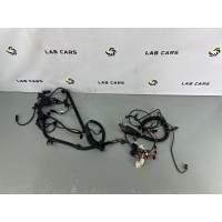 Проводка двигателя BMW X5 e53 рестайлинг 2005 12517531986, 12527503059