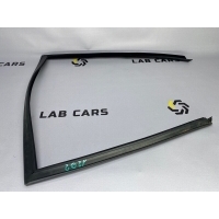 Уплотнитель стекла двери BMW X5 E70 51337136973, 51337136974