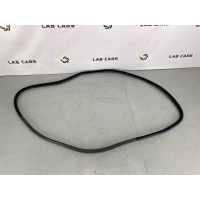 Уплотнитель двери BMW x5 e70 2007 51767220382, 7207222