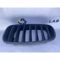Решетка радиатора BMW X5 E70 51137171395