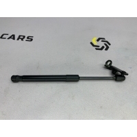 Амортизатор капота BMW 5 f10 2013 51237309119, 51237306978