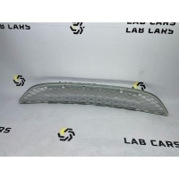 Решетка бампера BMW X6 e71 2011 51117176282, 51117179851