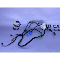 Проводка двери Audi A6 C6 4f1971036e