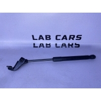 Амортизатор капота BMW 5 f10 2013 51237309119, 51237306977