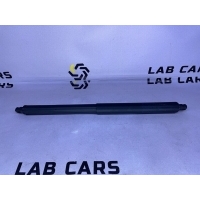 Амортизатор крышки багажника BMW x5 e70 2008 51247177283, 51247294199