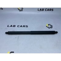 Амортизатор крышки багажника BMW X5 E70 2007 51247294199, 51247177283
