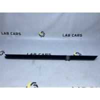 Уплотнитель двери BMW 5 f10 2010 51357182289, 51357230843