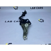 Петля капота BMW X6 E71 рестайлинг 2014 41007198618, 41007148348, 41617208630