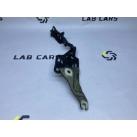 Петля капота BMW X6 E71 рестайлинг 2014 41007198617, 41007148347, 41617208629