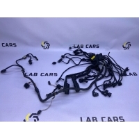 Проводка двигателя BMW x5 e70 2007 12517810118, 12517806081, 12527621075, 12527621078
