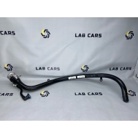 Горловина топливного бака BMW X6 E71 2011 16117186702, 16117164256