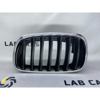 Решетка радиатора BMW X5 E70 51137171395, 51137185223