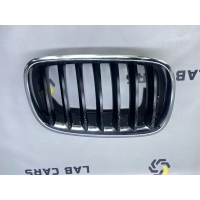 Решетка радиатора BMW X6 E71 2012 51137171396, 51137185224